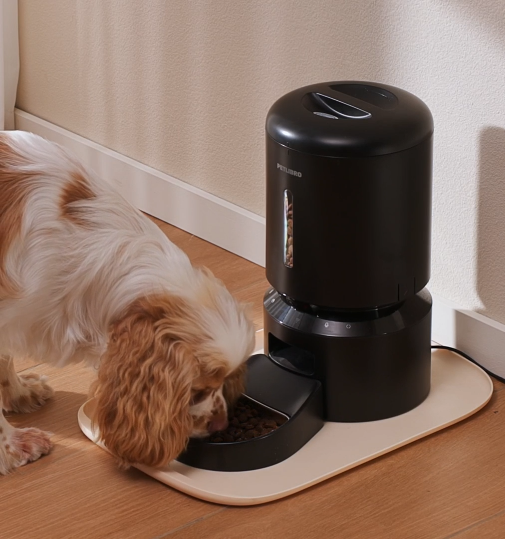 Granary Smarter Futterautomat mit Kamera